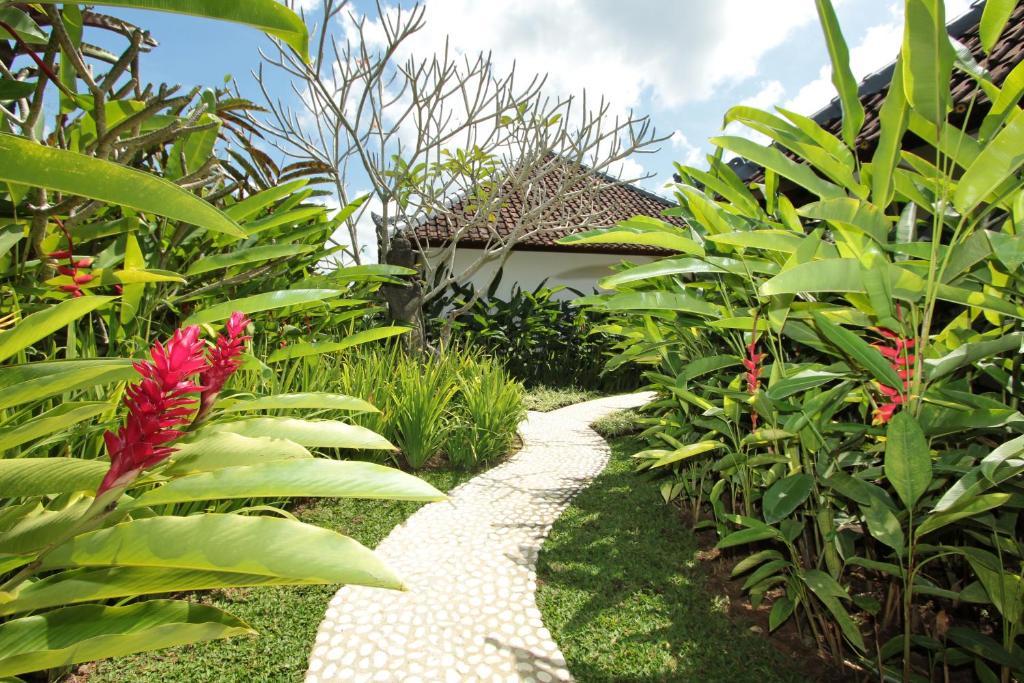 Bed and Breakfast Sunset Hill Ubud Habitación foto