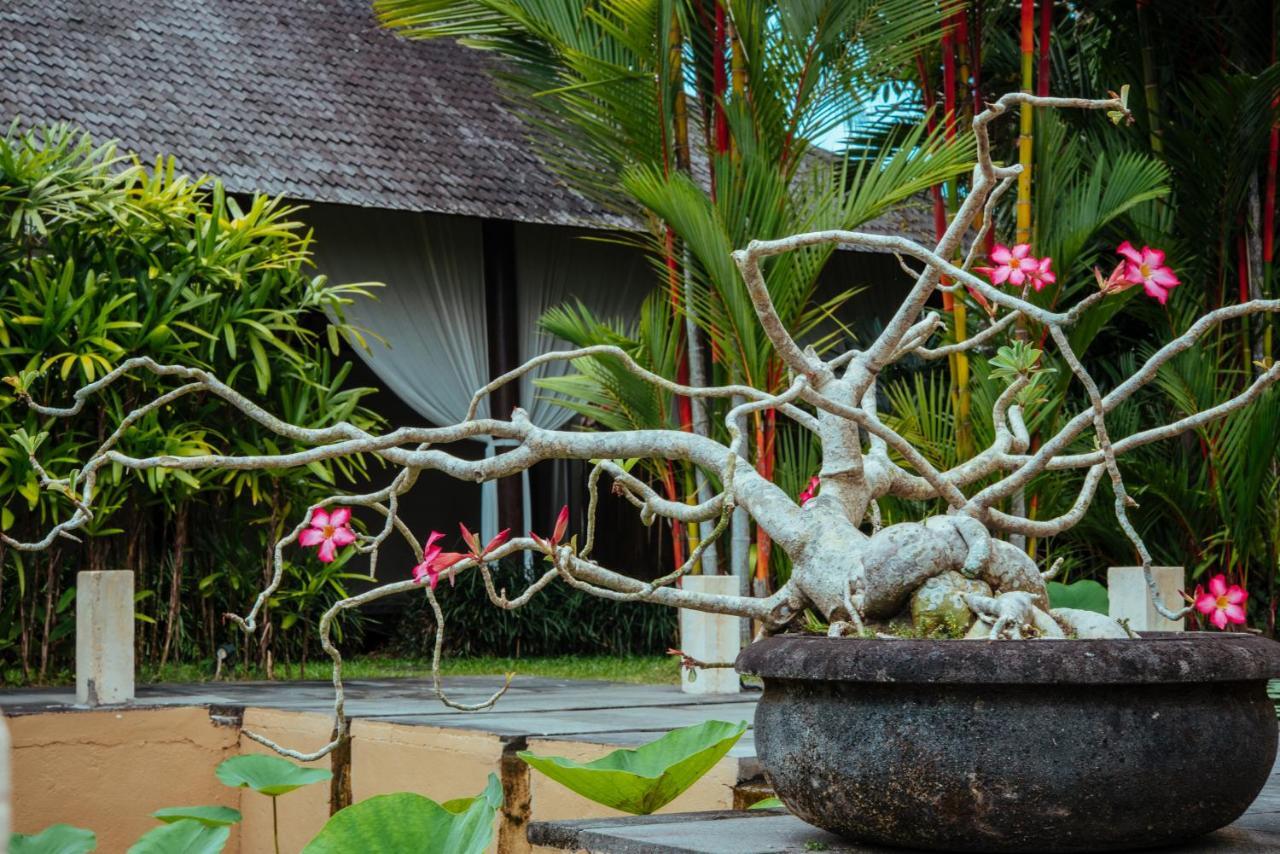 Bed and Breakfast Sunset Hill Ubud Exterior foto